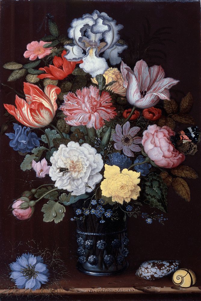 Floral Still Life with Shells (1622) painting in high resolution by Balthasar van der Ast. 