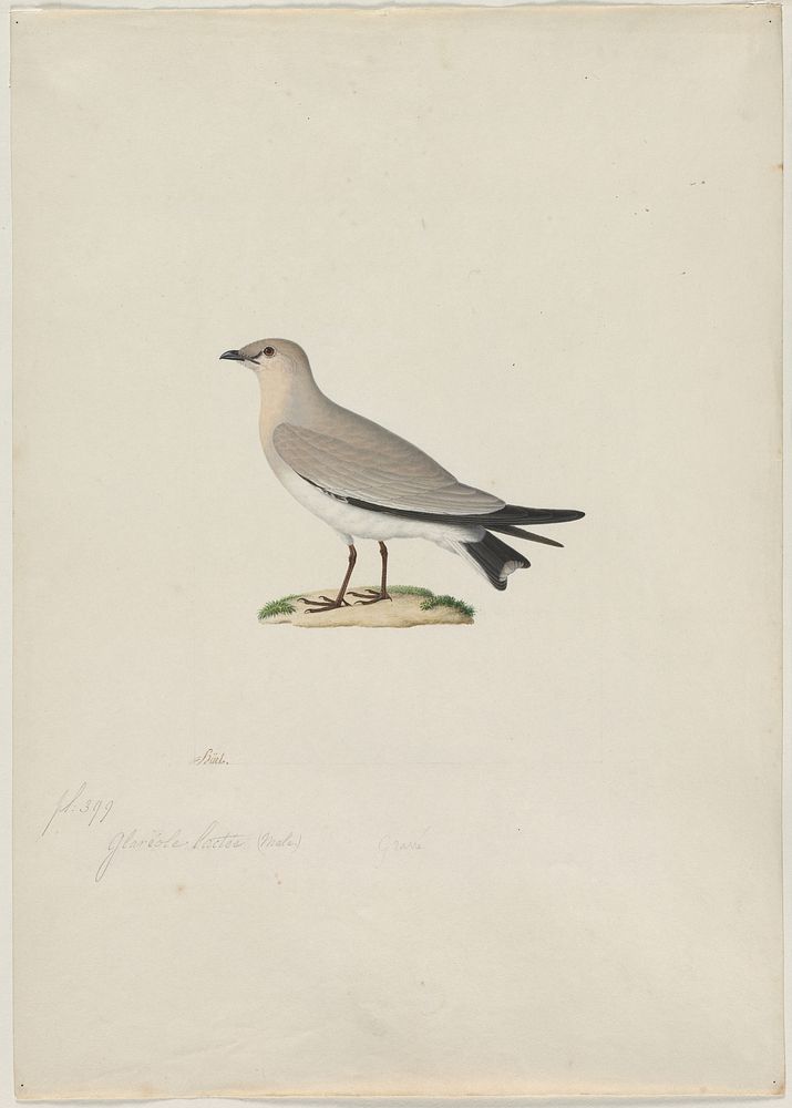 Original public domain image from Cleveland Museum of Art