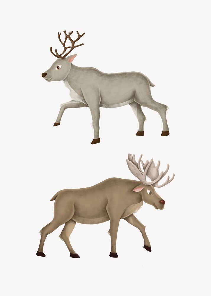 Hand-drawn moose and reindeer illustration