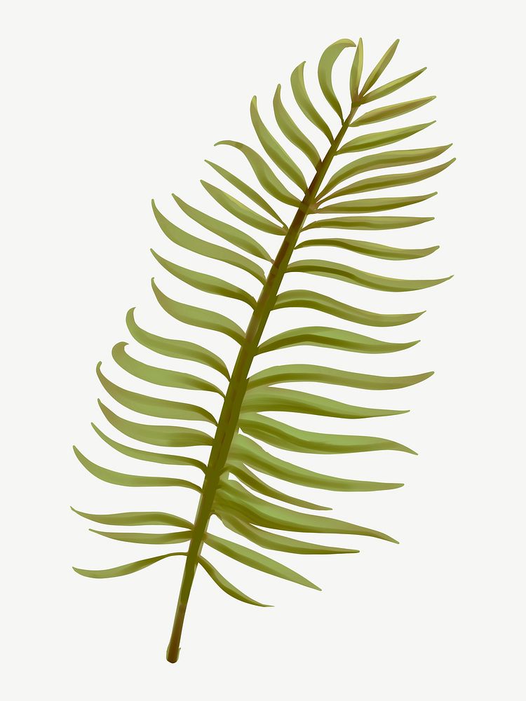 Aroca palm leaf illustration collage element psd