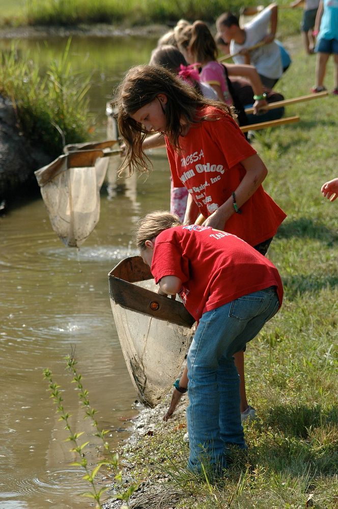 More Kids In The Woods 2011 provided children an opportunity to participate in a stream stroll to learn about our ecosystem.…