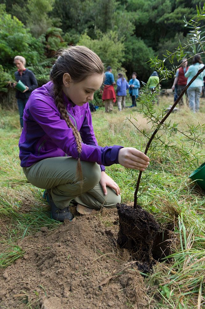 Catchpool Valley Tree Planting, April 22, 2016.Original public domain image from Flickr