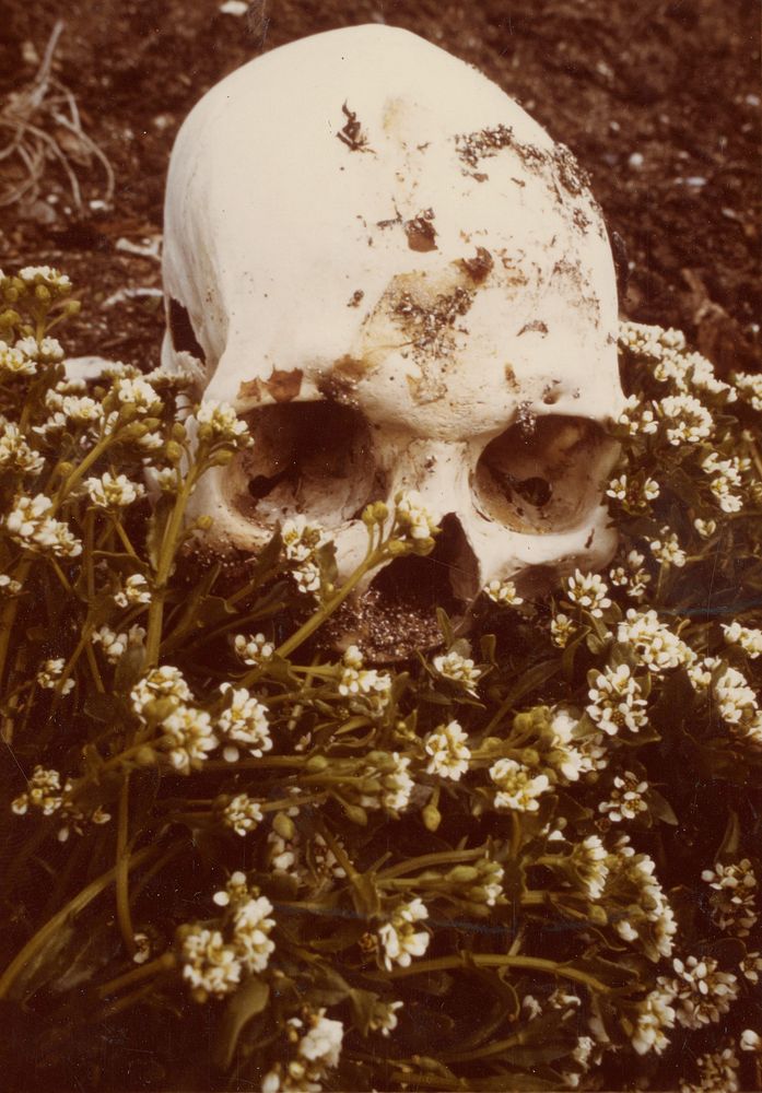 Eskimo remains at ancient village site. Original public domain image from Flickr