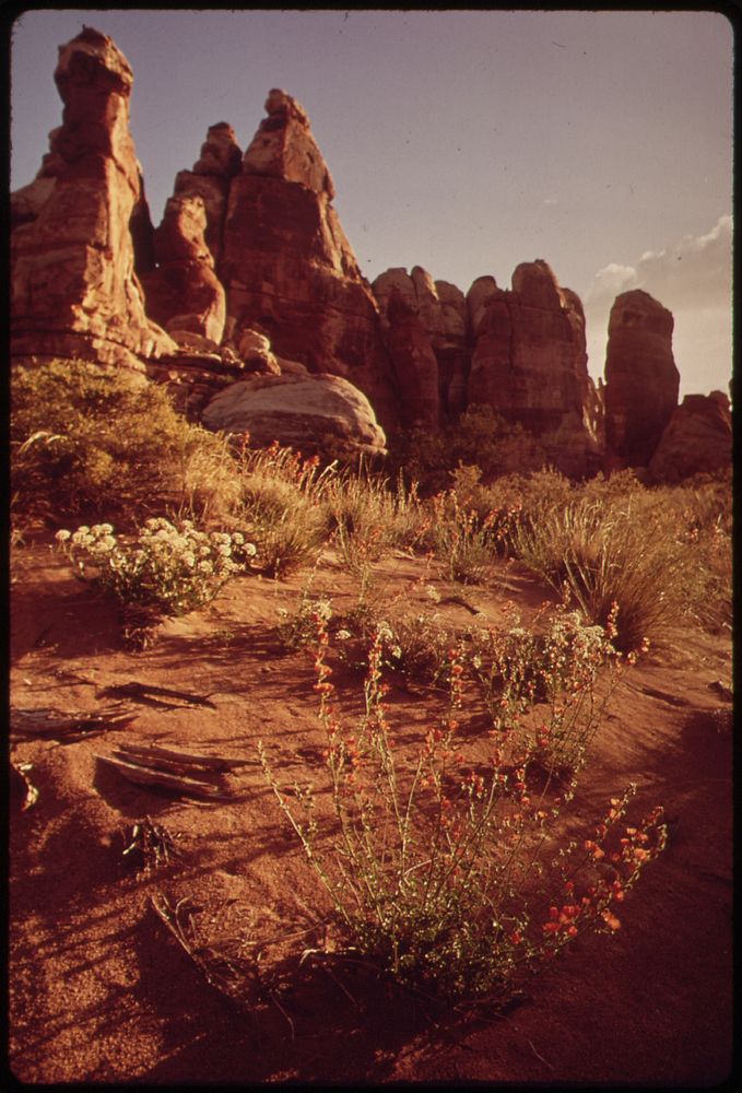 Scene in "The Doll House," a Very Remote Section of the Canyonlands, 05/1972. Original public domain image from Flickr