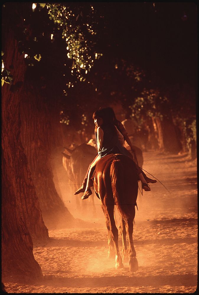 Havasupai Campground. Photographer: Eiler, Terry. Original public domain image from Flickr