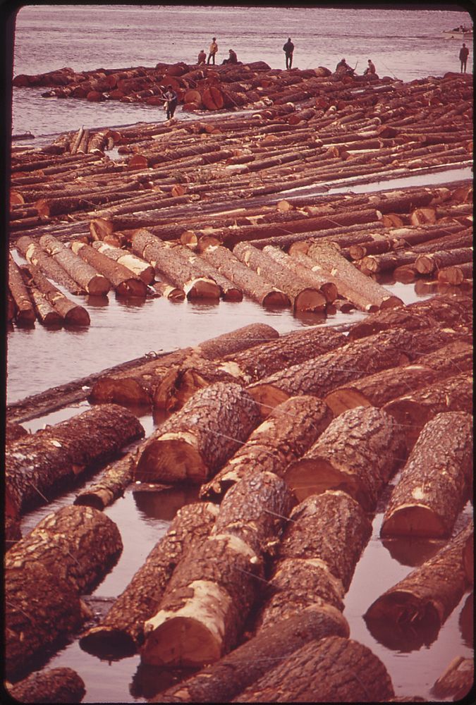 Log Raft on the Willamette River at Oregon City 04/1973. Photographer: Falconer, David. Original public domain image from…