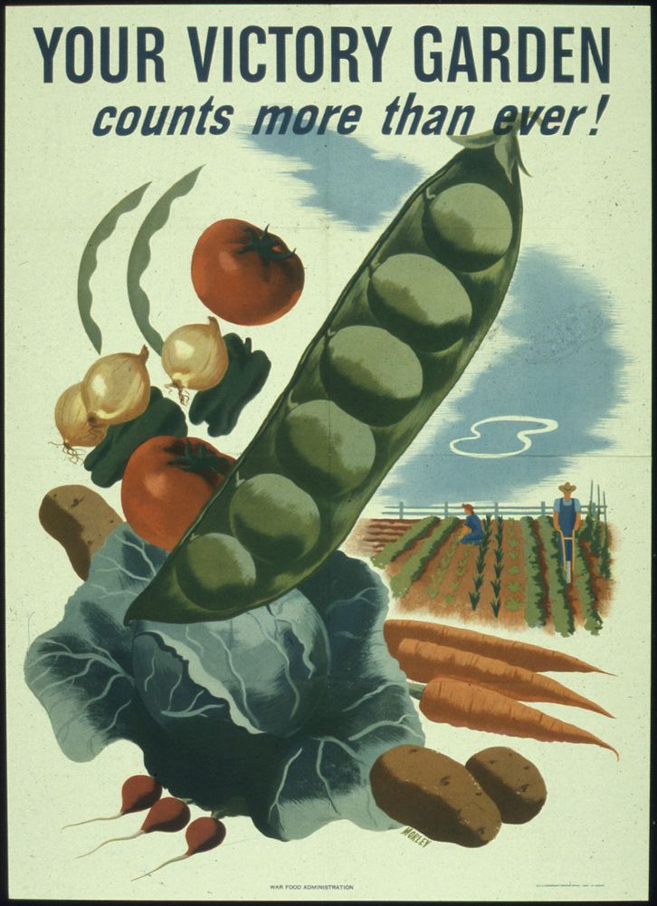 Your Victory Garden Counts More Than Ever! 1941 - 1945. Original public domain image from Flickr