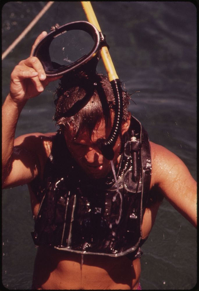 A Scientist From the Shell Oil Company Surfaces after a Snorkeling Expedition to Study the Coral Formations Beneath the…