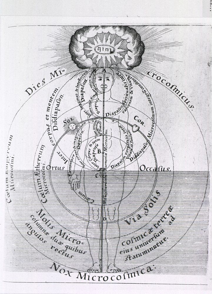 Dies Microcosmicus: Nox Microcosmica. Alchemical chart showing the human body as the world soul. Original public domain…
