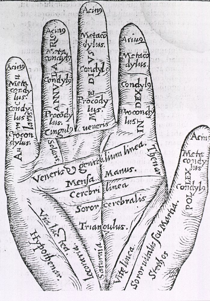 PalmistryAuthor(s): Cardano, Girolamo, 1501-1576, Author. The palm of a hand with the lines and the various zones of the…