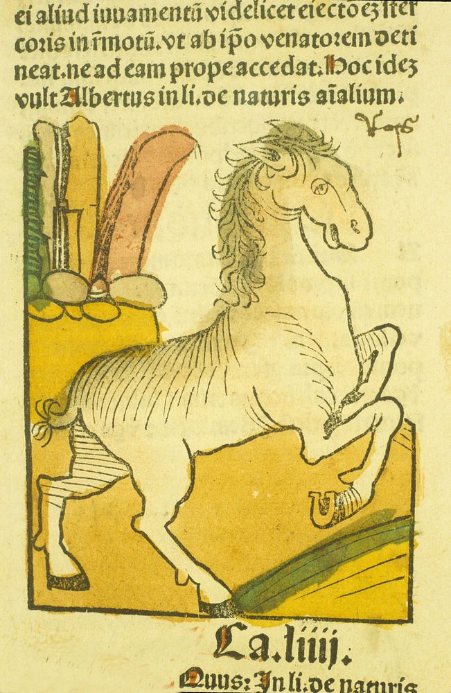 EquusPublication: [Mainz : Jacob Meydenbach, 23 June 1491]. Hand-colored woodcut of the horse. Original public domain image…