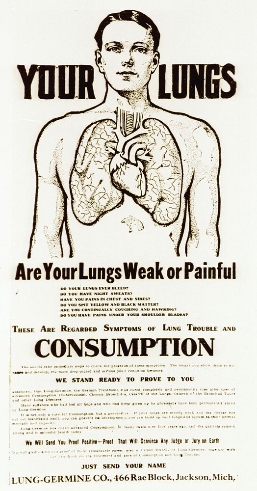 Your lungs: are your lungs weak or painful. Half-length view of a man showing the heart and lungs with accompanying…