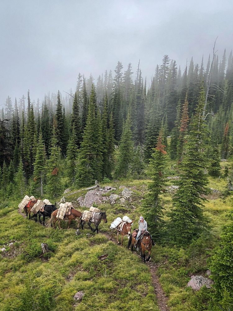 Transporting supplies at Baptiste Lookout, Flathead National Forest, Montana. Original public domain image from Flickr