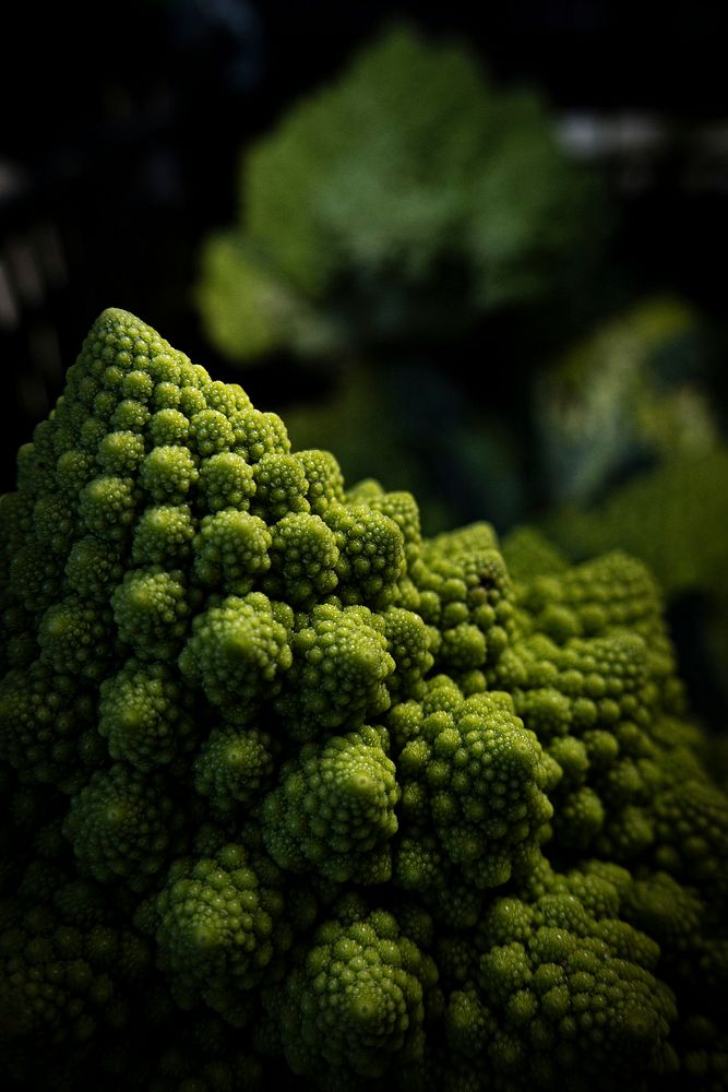 Romanesco Cauliflower, fresh green vegetable. Original public domain image from Flickr