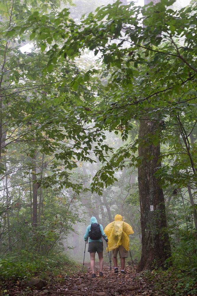 Gravel Springs Hikers in the RainNPS | N. Lewis Two hikers wearing rain gear on the A.T. at Gravel Springs Parking…
