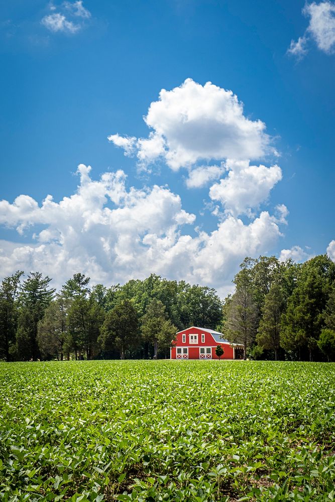 Red barn, countryside farm. Original public domain image from Flickr