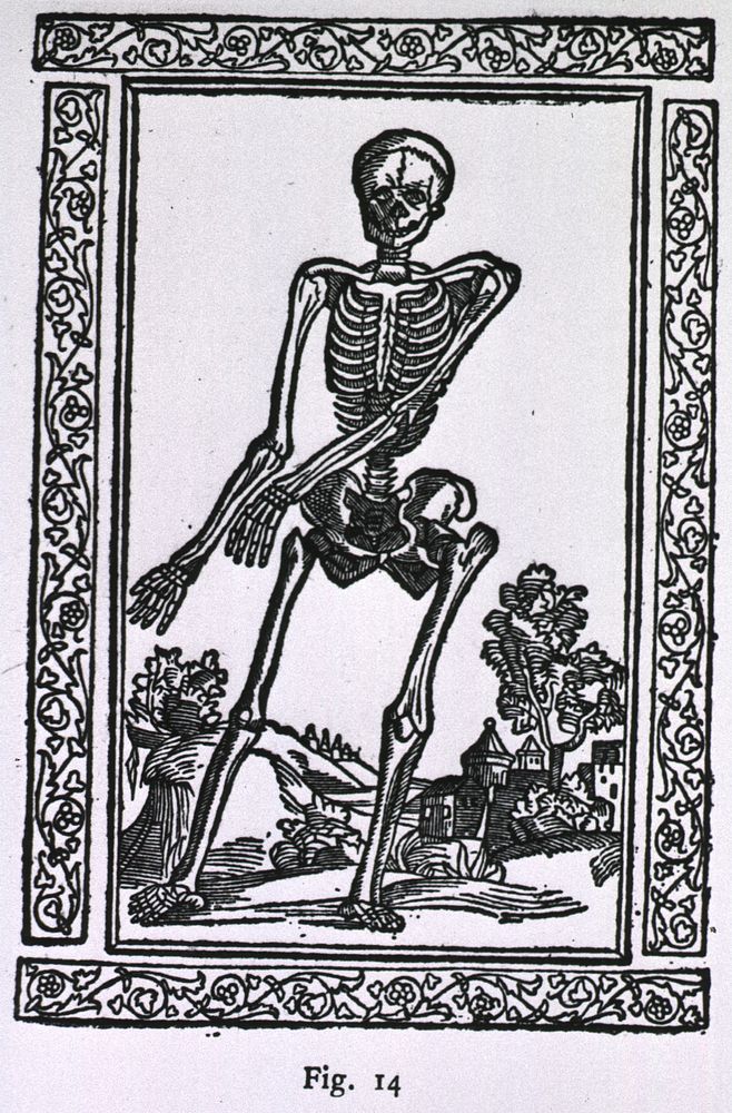 Human SkeletonCollection:Images from the History of Medicine (IHM) Contributor(s):Berengario da Carpi, Jacopo, approximately…