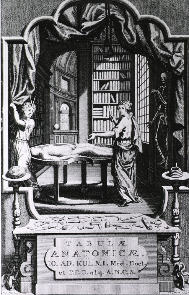 Human Body and the Library as Sources of KnowledgeCollection:Images from the History of Medicine (IHM) Author(s):Kulmus…