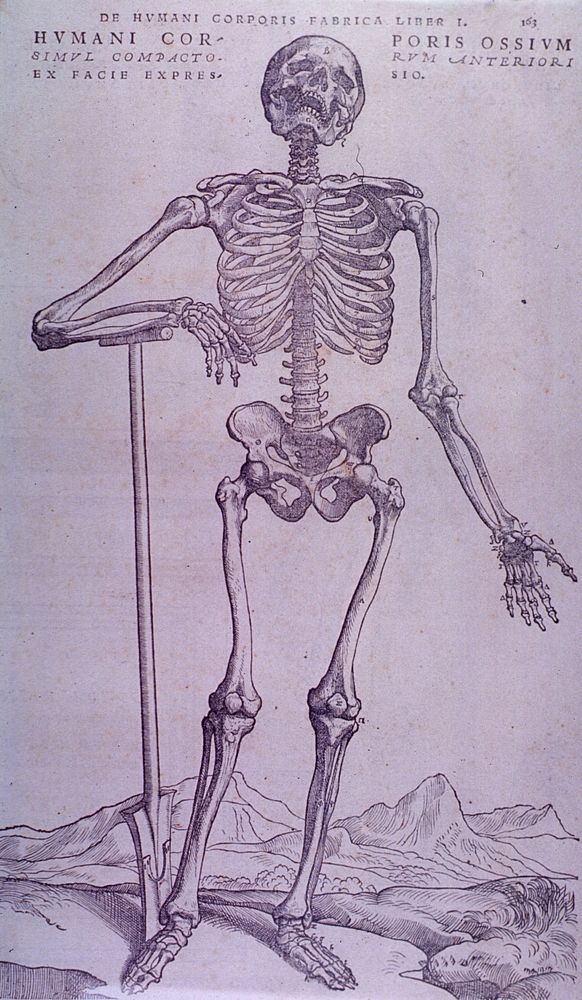 Bone PlateCollection:Images from the History of Medicine (IHM) Publication:1543 Format:Still image Subject(s):Bone and…