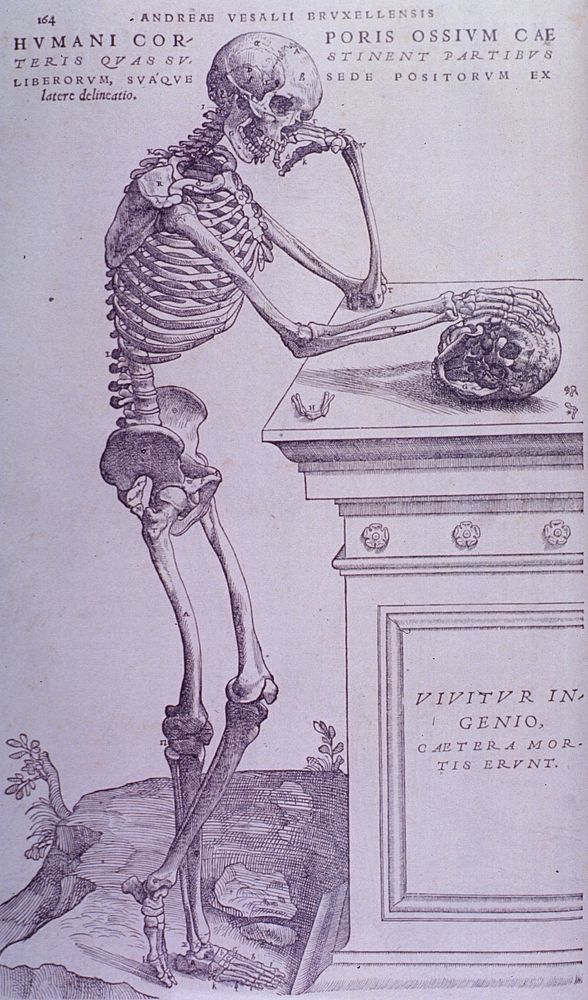 Bone PlateCollection:Images from the History of Medicine (IHM) Format:Still image Subject(s):Bone and Bones Genre(s):Book…