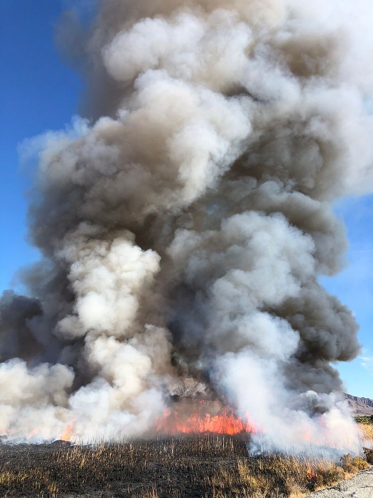 Prescribed Fire at Dos Palmas PreserveThe Bureau of Land Management and fire crews from the California Desert Interagency…
