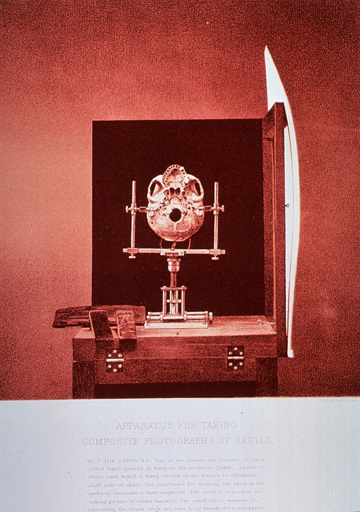 Apparatus for Taking Composite Photographs of Skulls: No. 7Collection:Images from the History of Medicine…