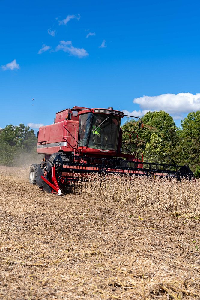 Scully farm cover crop seedingMike Scully harvests soybeans at Scully Family Farms in Spencer, Indiana Sept. 29, 2022. (NRCS…