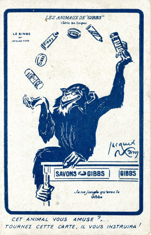 Les animaux de "Gibbs" (série des singes): Cet animal vous amuse? =: Animals of "Gibbs" (Monkey series): Does This Animal…