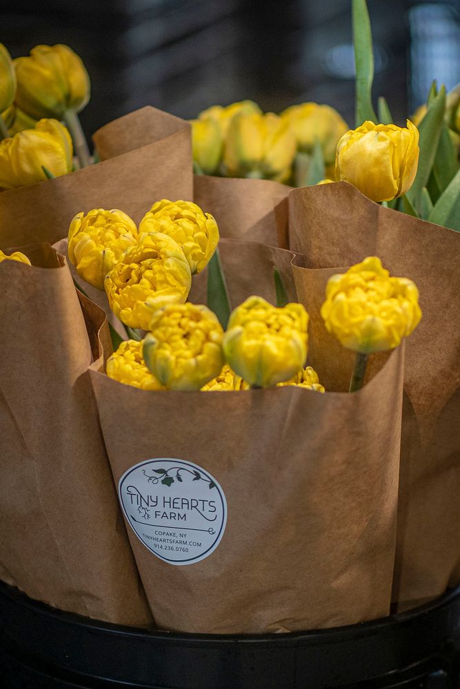 Beginning Farmers Luke Franco and Jenny Elliott run Tiny Hearts Farm in Copake, New York and flower shop in nearby…