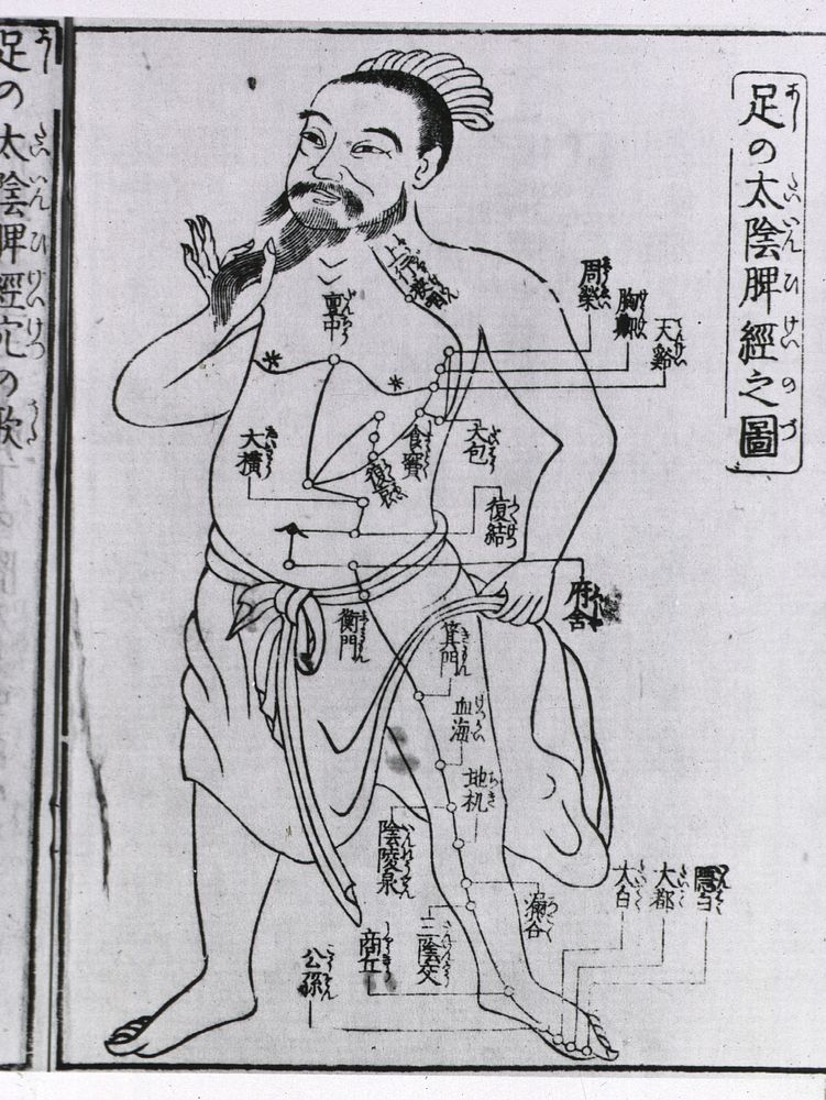 Medicine - China: Full-length figure illustrating acupuncture pointsCollection:Images from the History of Medicine…