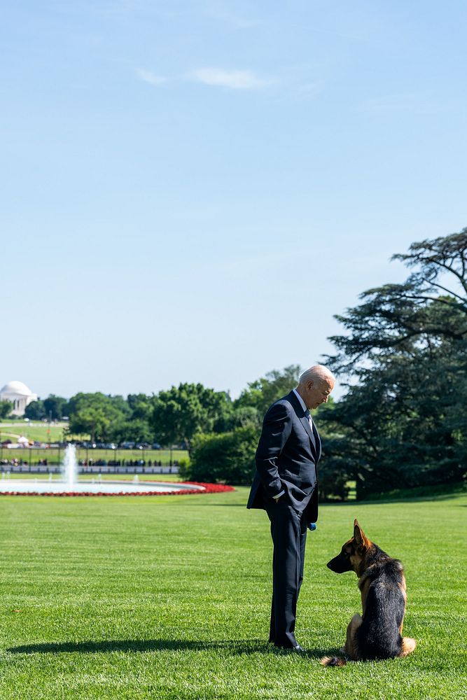 President Joe Biden stands with Commander while awaiting First Lady Jill Biden’s departure, Monday June 6, 2022, on the…