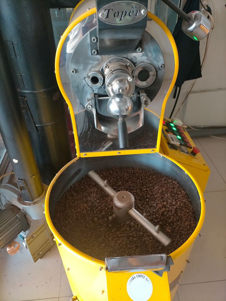Harumnya kopi yang sedang diolah di Koperasi Ketiara - TakengonPemberdayaan UMKM untuk memproduksi biji kopi kualitas…