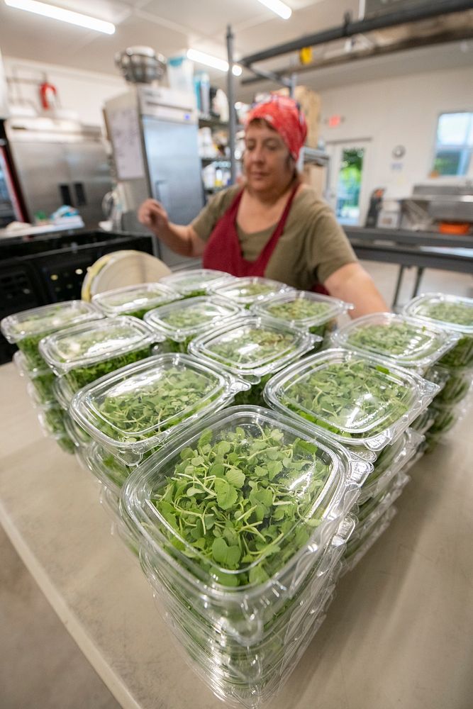 Katie of City Roots LLC labels freshly packed microgreens on Wednesday morning before 7 AM, on August 10, 2022, in Columbia…