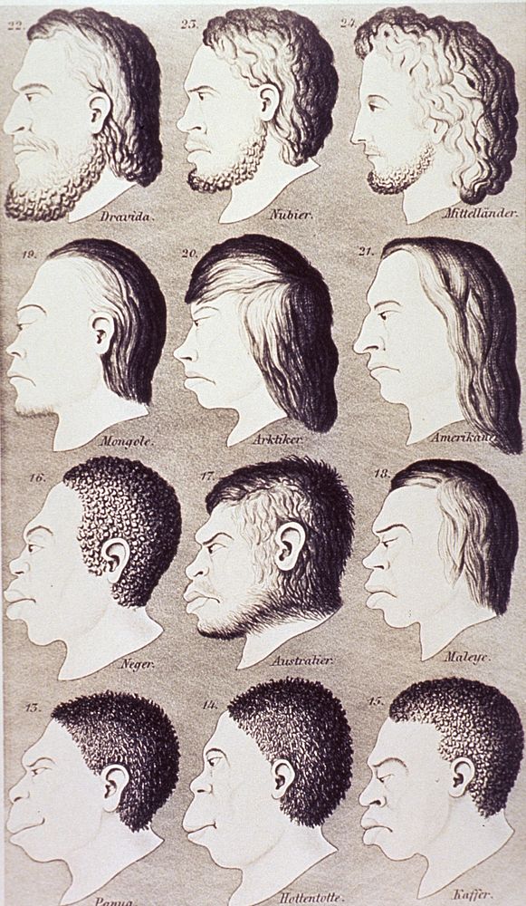 Evolution of Facial Features, antique illustration.