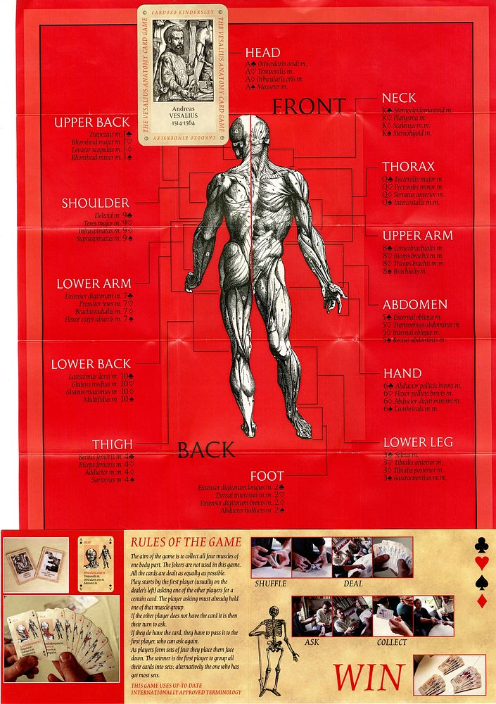 Image of Poster, Leaflet, and Playing Card from the Vesalius Anatomy Card Game. Original public domain image from Flickr