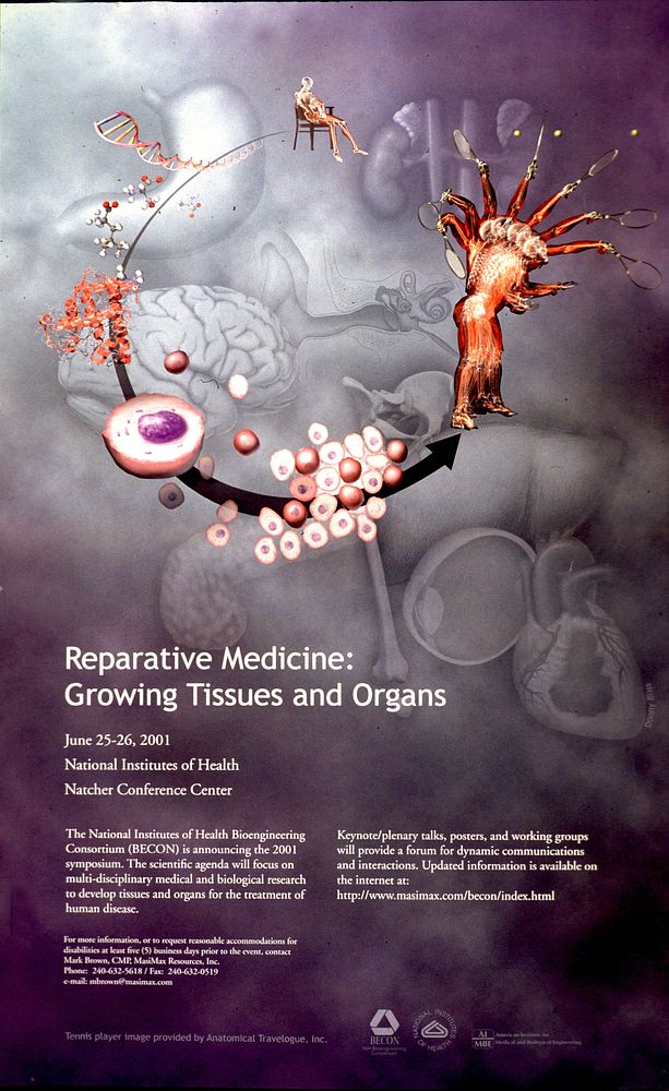 Reparative Medicine: Growing Tissues and Organs. Original public domain image from Flickr