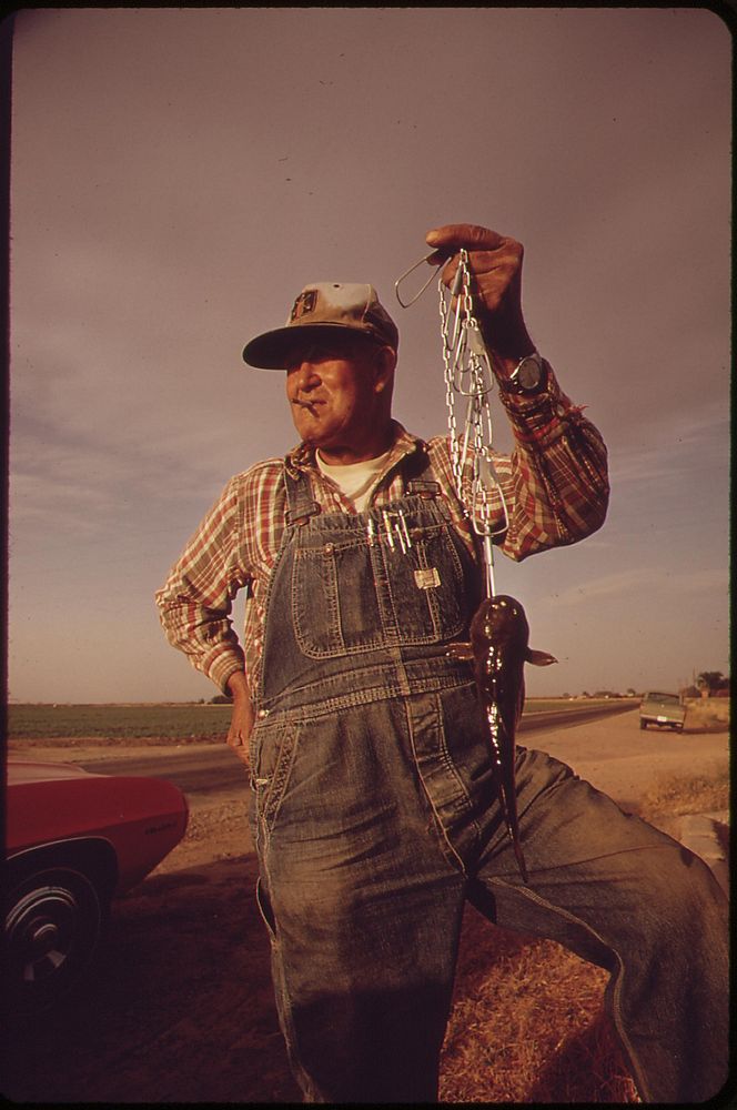 Successful fisherman--near El Centro, May 1972. Photographer: O'Rear, Charles. Original public domain image from Flickr