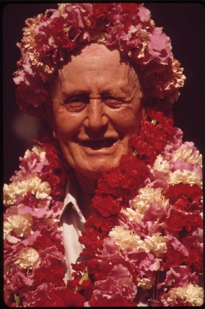 This tourists has acquitted herself well at a hula dance demonstration. The leis are her rewards, October 1973.…