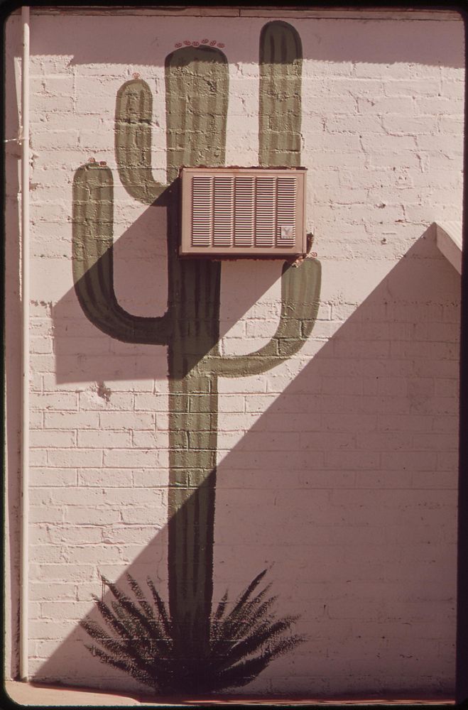 Desert cactus plant painted on house wall, May 1972. Photographer: O'Rear, Charles. Original public domain image from Flickr