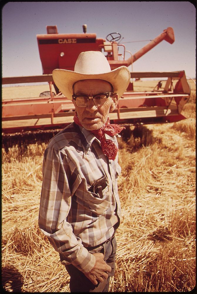 It's wheat harvesting time in the Palo Verde Valley, May 1972. Photographer: O'Rear, Charles. Original public domain image…