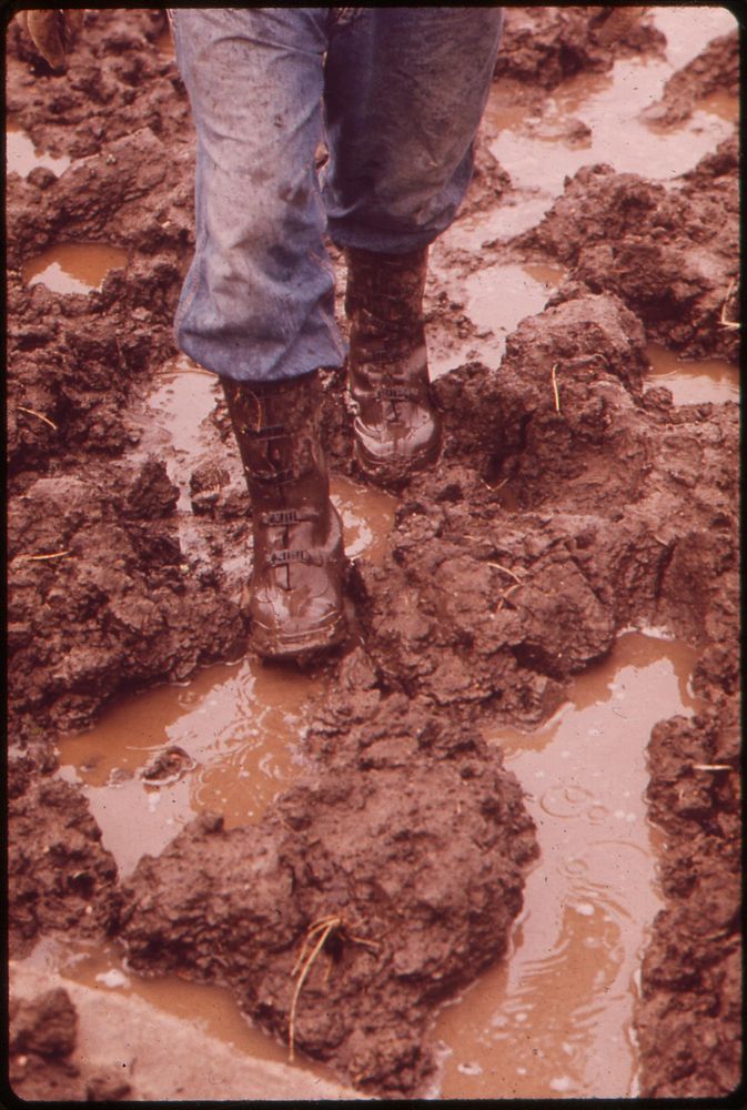 Feet of farmer John Dolezal slogging through mud on Dolezal's farm near Bee, Nebraska, May 1973. Photographer: O'Rear…