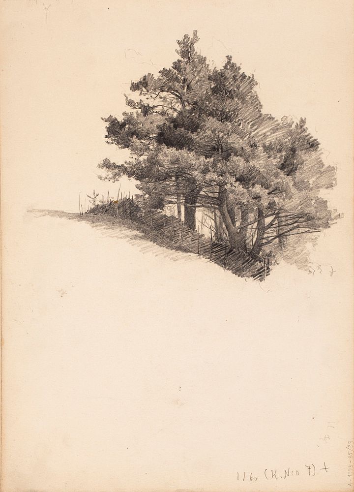Vanhoja puita aidan takana. todennäk. 1880-luvun jälkipuol. merk.oik.alh. e j, 1885 - 1889part of a sketchbook, Eero…