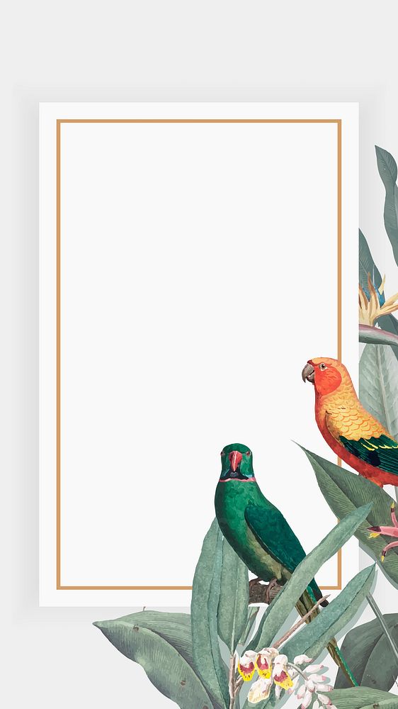 Parrot birds frame phone wallpaper, botanical design 