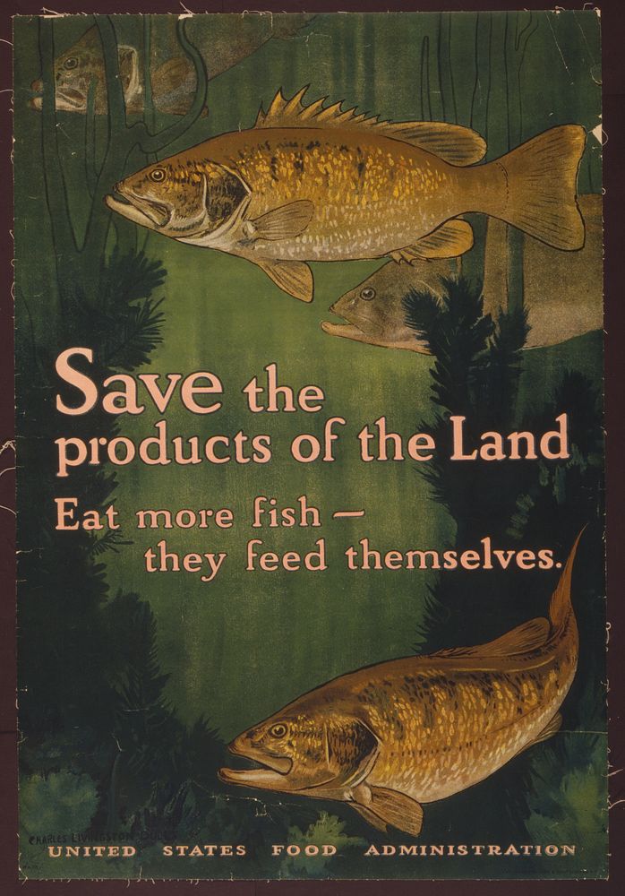 Save the products of the land--Eat more fish-they feed themselves United States Food Administration Charles Livingston Bull…