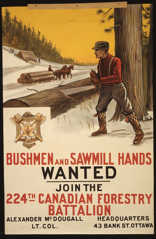 Bushmen and sawmill hands wanted. Join the 224th Canadian Forestry Battalion