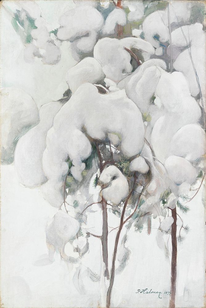 Snow-covered pine saplings, 1899, by Pekka Halonen