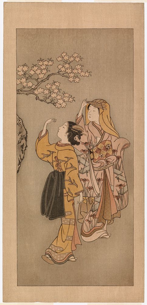 Kukkivan kirsikkapuun alla, Suzuki Harunobu