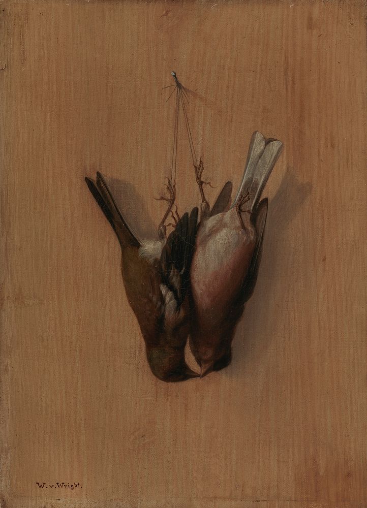 Two hung chaffinches, 1852, Wilhelm von Wright