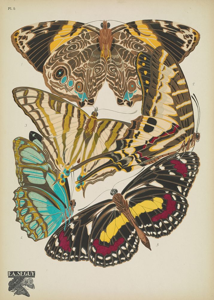 E.A. S&eacute;guy's vintage butterflies (1925) insect illustration. Original public domain image from Biodiversity Heritage…