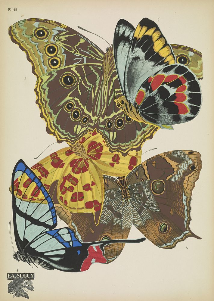 E.A. S&eacute;guy's vintage butterflies (1925) insect illustration. Original public domain image from Biodiversity Heritage…